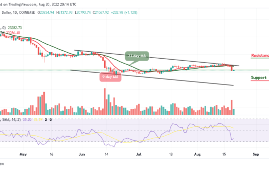 BTC Awaits Possible Breakout while Tamadoge Remains at the Upside