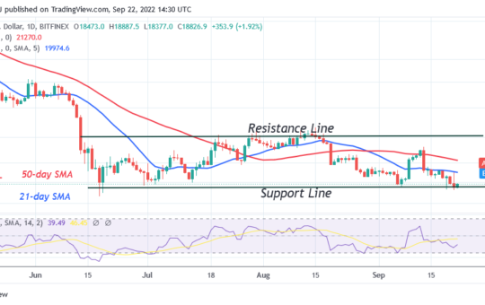 Bitcoin Price Prediction for Today September 22: BTC Price Rises as Buyers Recoup above the $18.2K Low