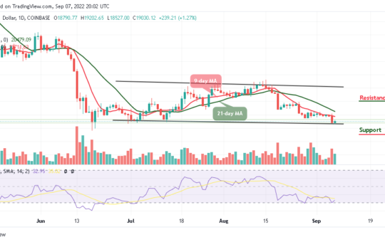 BTC Trades Above $19,000; the Sky is the Beginning for TAMA