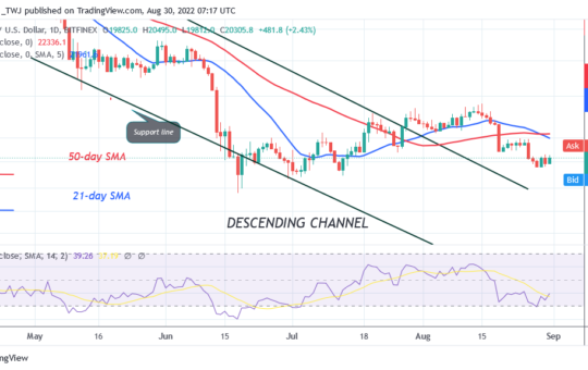 Bitcoin Price Prediction for Today August 31: Buyers Are in Strong Defense as BTC Price Holds Above 20K