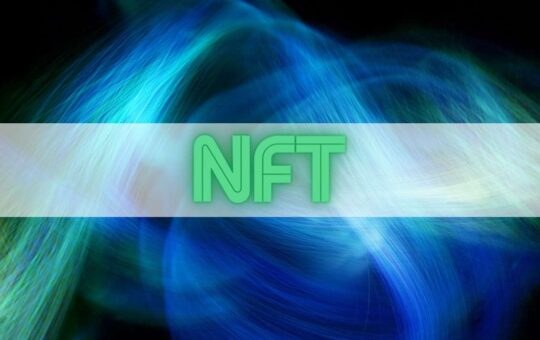 NFT Watchdog Exploited Immediately After Minting Its Own Collection