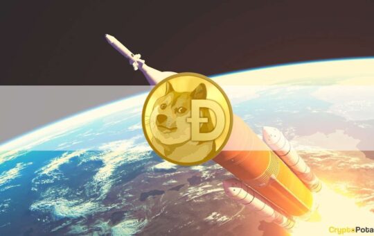 Dogecoin (DOGE) Explodes 8% Daily on Musk-Twitter News